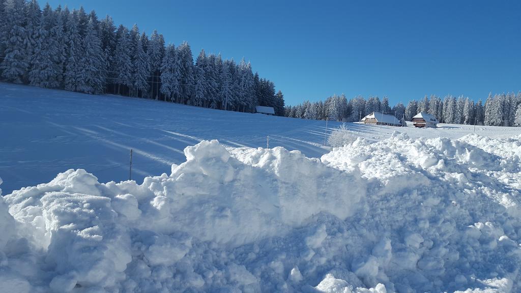 Appartement Rehblick Eisenbach  Exterior foto